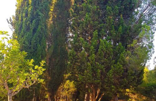 Can Company - Foto 51