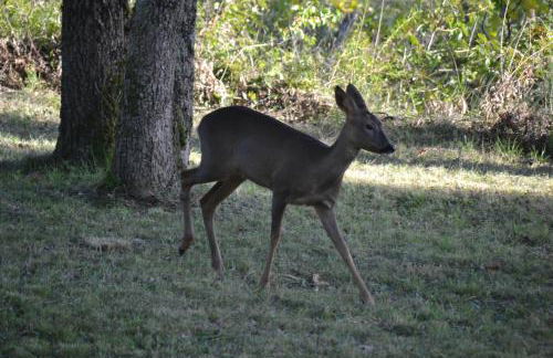 Villa Pepy - Photo 15
