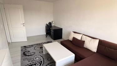 Kleines Appartment mit großer Terrasse - Foto 3