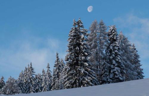 Baita dei Colori - Foto 26