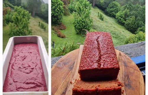 Apartamentos Rurales El Bosque de las Viñas - Photo 25