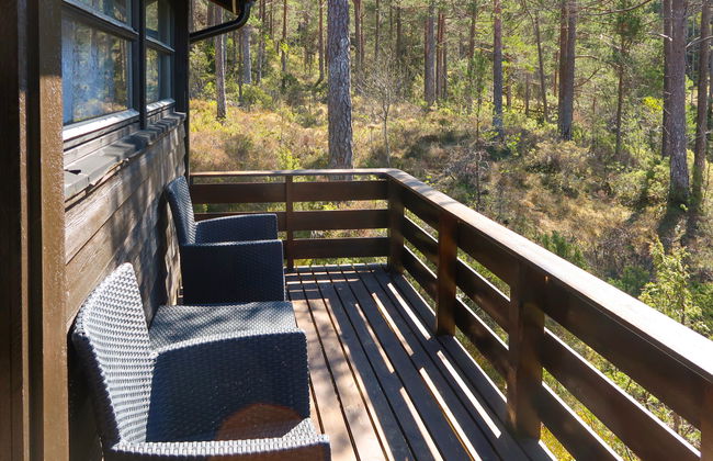 Sandvikfjellet - Foto 16