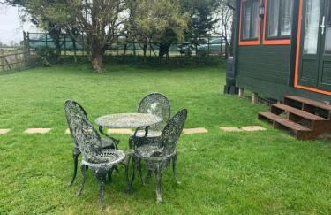 Walland Cottage Romney Retreat - Photo 24