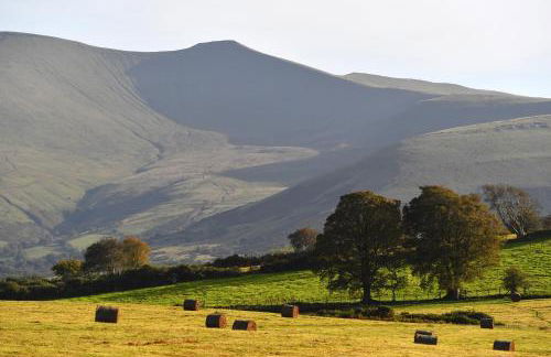 Dragonfly Cottage, Canal location - Photo 25