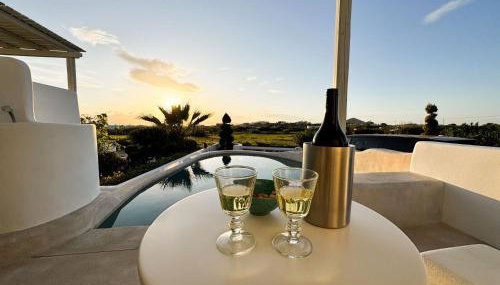 Argana Naxos private villa with pool and garden - Foto 2