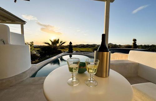 Argana Naxos private villa with pool and garden - Foto 2