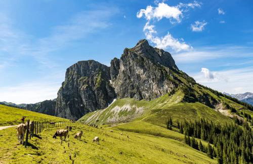 Allgäu Luxury Apartment Berglöwe mit Sauna - Photo 29