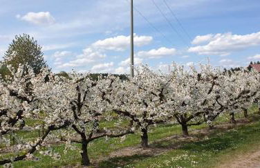 Traumferienwohnung Meckenbeuren - Foto 3