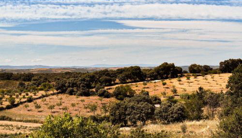 Autentisereia - Foto 5