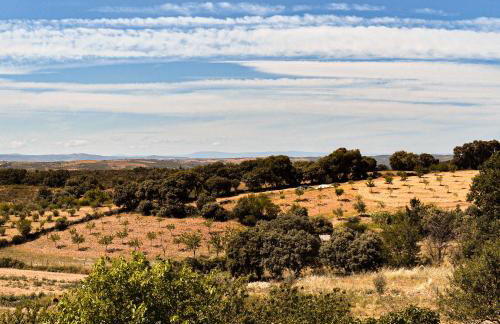 Autentisereia - Foto 5