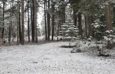 Blissful Solitude Cottage - Foto 55