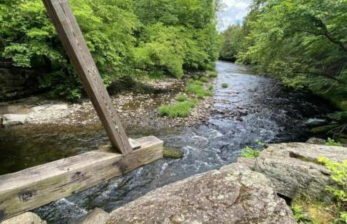 Vintage Shasta Camper for the best of NYC Glamping - Foto 30