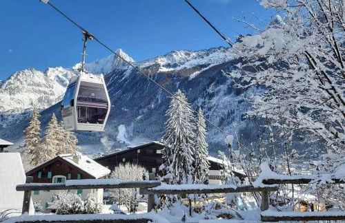 Happy Moose - Cosy Mont Blanc View apartment with sauna - Photo 54