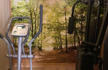 Le Fenil-Logis Sauna Bain Nordique Salle cinéma - Foto 31