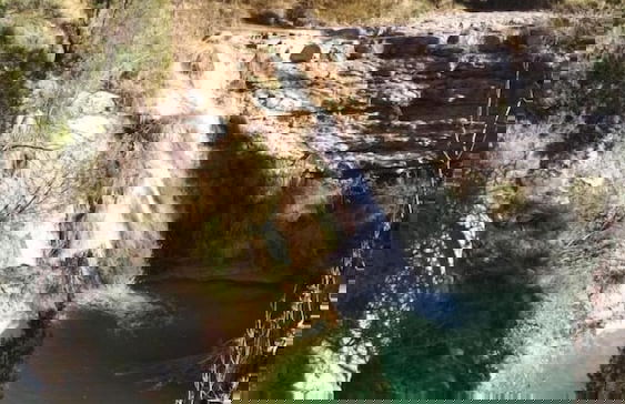 Mas de Leon - Photo 45