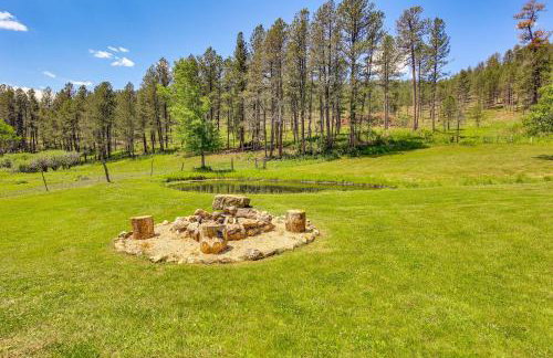 Remote Custer Cabin with Fire Pit and Near State Park! - Foto 23