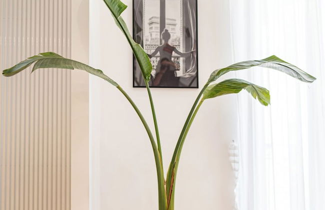 Terrazza San Ferdinando, Napoli - Photo 101