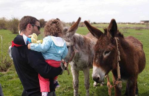 Agroturismo El Mirador de la Cigüeña - Foto 17