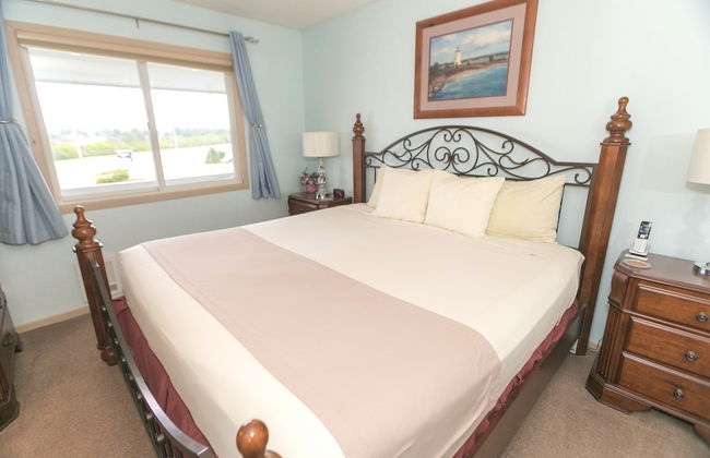 The Grey Gull - Foto 66