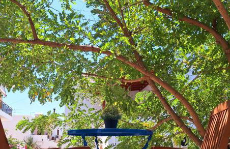 Giannakis Filoxenia - Foto 70