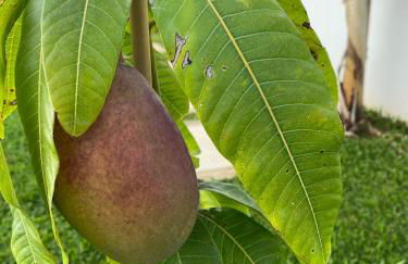 Villa Céu e Mar - Foto 51