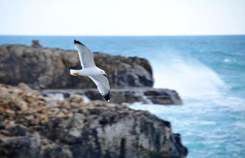 Casa vacanza Leuca - Foto 44