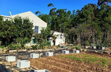 Casa 99 in Barbéns, Miranda do Corvo - Foto 4