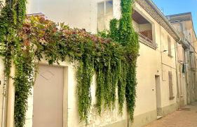 Gite AVIGNON BOUGAINVILLIER - Foto 26