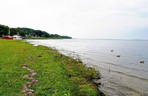 schoene Ferienwohnung mit Terrasse - Photo 11