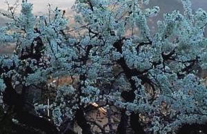 Case Dietroserra - Foto 75