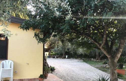 Bouganville in Villa Greco - Foto 29