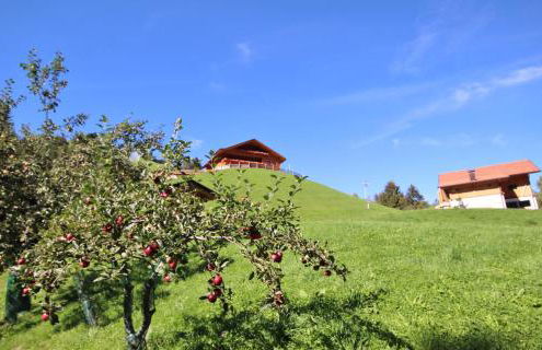 Residenz Erschbaum - Foto 73