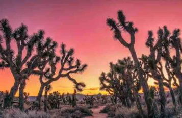 Havana House oasis with pool spa firepit game room and Mountain Views Be away from the city rules - Foto 36
