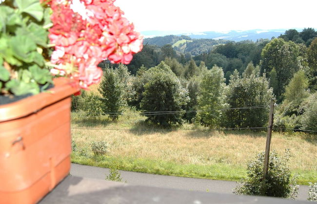 Spacious Cottage in the Giant Mountains, Near the Ski Slopes - Foto 26