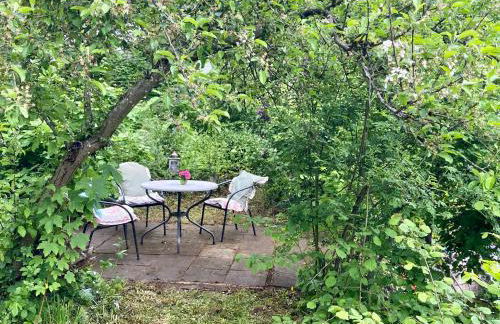 Apartment Ahrquelle im Posthalterhof mit Sauna - Photo 8