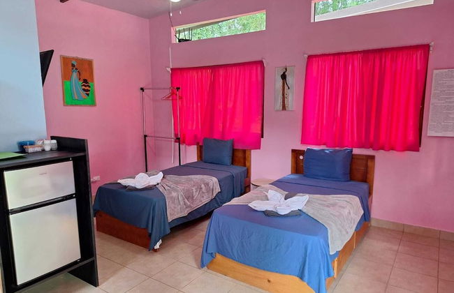 Caribbean Blue Morpho - Foto 5