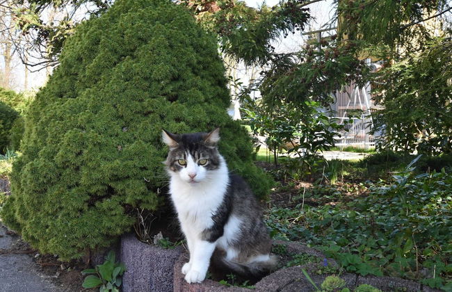 Ferienwohnung am Meer in Rerik - Foto 15