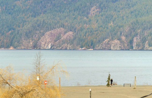 Harmony Haven 2BR Lakefront Suite - Photo 71