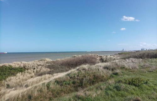 Les Amarres 6 pers Dunes et Mer Blériot plage - Foto 34
