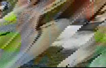 Cabañas La Morada - Foto 57