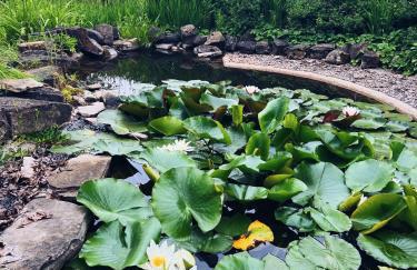 DOMEK LUBENIA - Foto 22