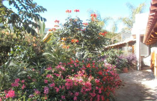 Finca las Palmeras - Foto 8