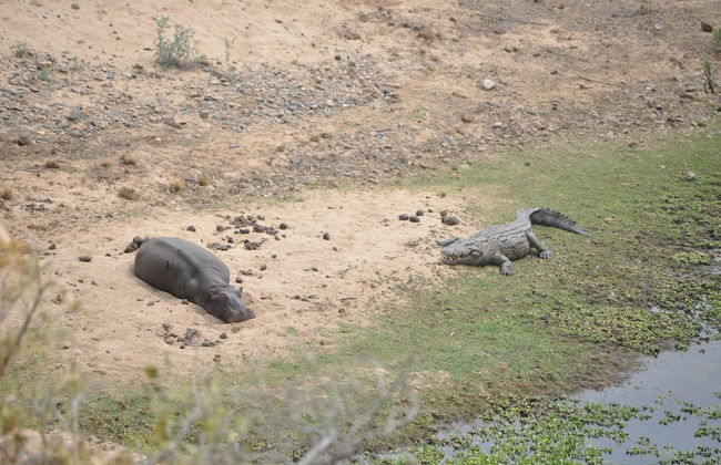 Villa ZaZu - Photo 39