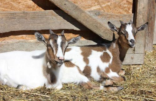 Thallerhof - Foto 19