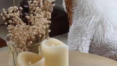 Chez Laurette - Charming apartment in historic village near Versailles - Foto 5