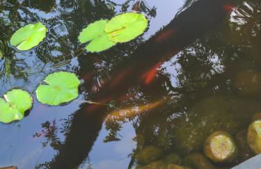 Robin's Nest- Private Suite on Elegant Grounds - Foto 15