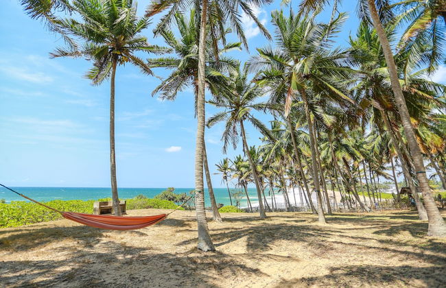 Ocean Cottage Kalametiya - Photo 22