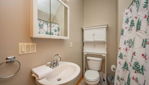 Snowshoe Summit - Photo 5