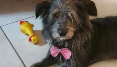 SWEET HOME GIULIA Locazione ad uso turistico - Foto 4