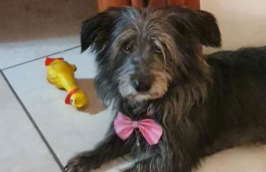 SWEET HOME GIULIA Locazione ad uso turistico - Foto 4